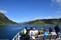 Seeadlersafari im Raftsund zwischen Vesterålen und Lofoten