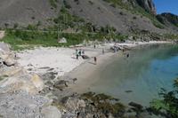 Strand Lofotenrundfahrt