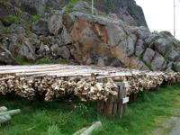 Trockenfisch