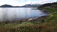 Trondenes-Halbinsel (Blick auf Harstad)