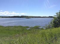 Trondheimfjord