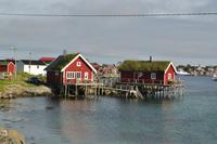 Typisch Lofoten