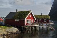 Typisch Lofoten