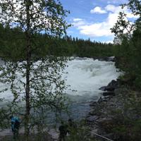 im Saltdalen