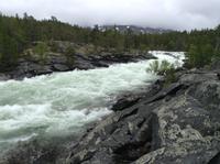 im Saltdalen