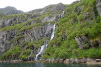 im Trollfjord 
