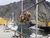 in Nußfjord