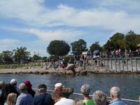 Kanalfahrt in Kopenhagen (Kleine Meerjungfrau)