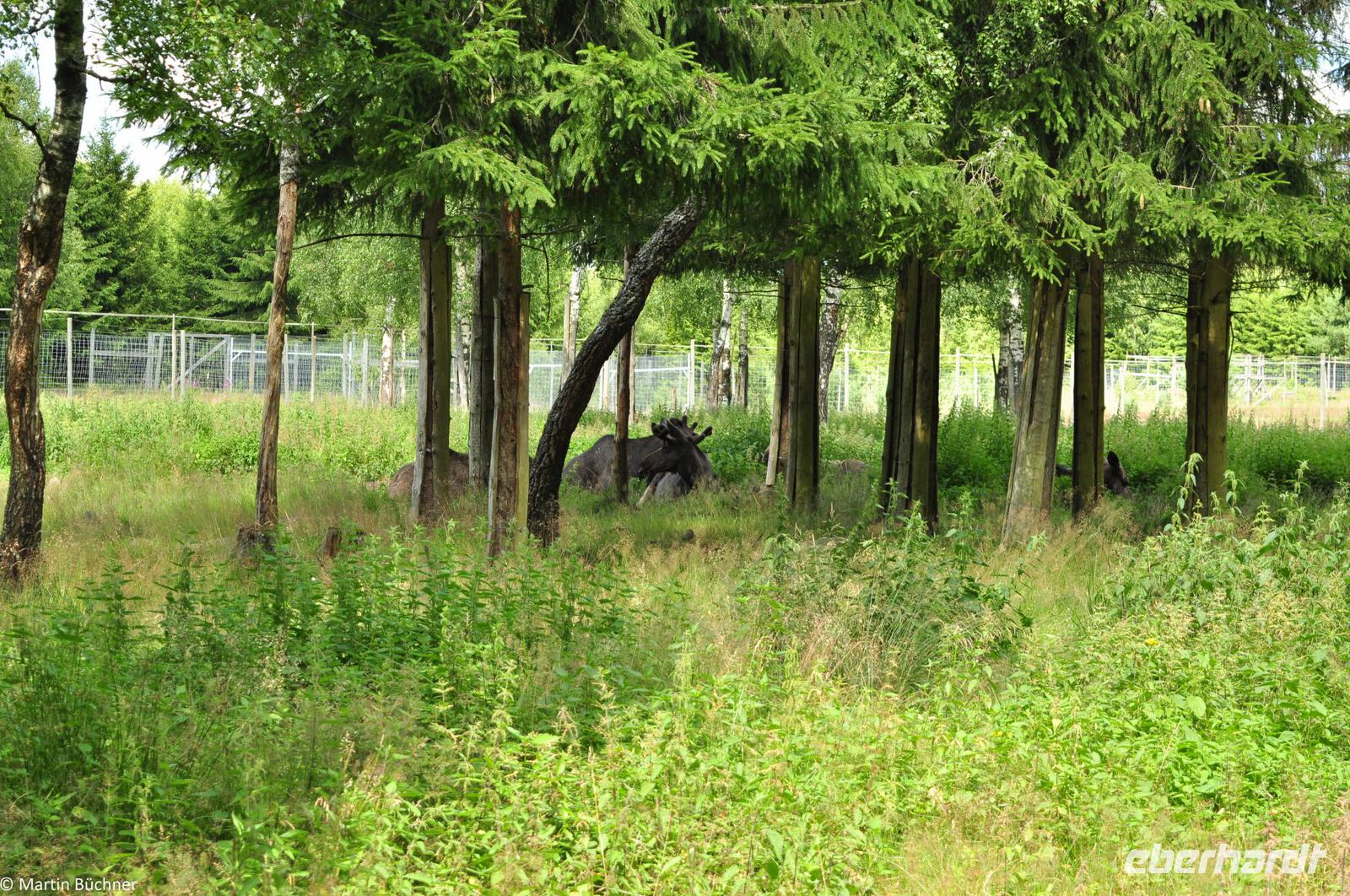 Hauptstädte Skandinaviens - Eberhardt-Travel - -2043