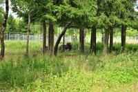 Hauptstädte Skandinaviens - Eberhardt-Travel - -2043