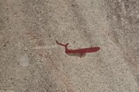 Hauptstädte Skandinaviens - Eberhardt-Travel - -2624