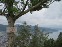 ... Hexen auf Besen haben keine landeerlaubnis