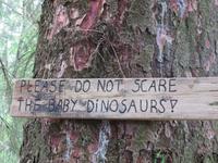 nicht gefunden ...das Baby