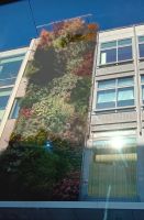 Stockholm vertikale Begrünung