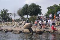 Kanalfahrt in Kopenhagen (Kleine Meerjungfrau)