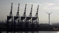 Giraffen von Hamburg