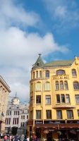 Katzenhaus Riga