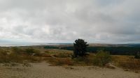 Kurische Nehrung Parnidis Düne