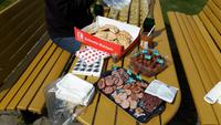 Picknick an der Westküste Schwedens (Bohuslän)