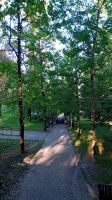 Professors Allee Tartu
