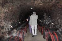 Weinkellerei Tokaj Macik