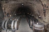 Weinkellerei Tokaj Macik