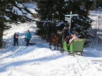 Schlittenfahrt in Strbske Pleso