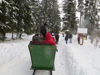 Schlittenfahrt in STrbske Pleso