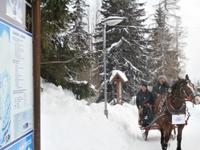 Strbske Pleso  Schlittenfahrt