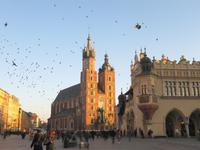 Krakau - Blick zur Marienkirche