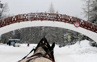 Mit PferdestÃ€rken durch Strbske Pleso