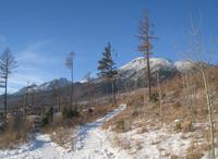 Hohe Tatra bei Stary Smokovec