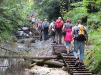 Schlucht Sucha Bela im Slowakischen Paradies
