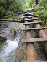 typischer Weg in der Schlucht Sucha Bela im Slowakischen Paradies