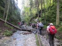 Schlucht Sucha Bela im Slowakischen Paradies