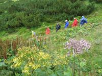Abstieg in der Niederen Tatra