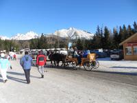 Silvesterkutschfahrt in Strbske Pleso