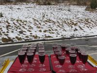 Neujahrssekt 