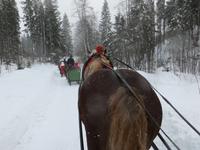 Schlittenfahrt in STrbske Pleso