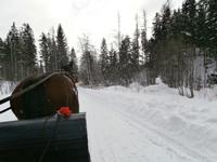 Strbske Pleso  Schlittenfahrt