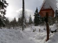 Strbske Pleso  Schlittenfahrt