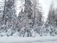 Strbske Pleso 
