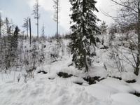 Strbske Pleso 