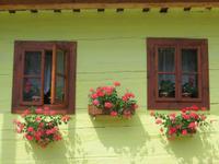 Vikolinec