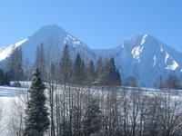 Weiße Tatra