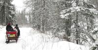 Winterwald in Strbske Pleso