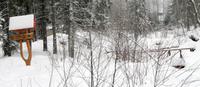 Winterwald in Strbske Pleso