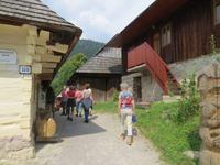 in Vikolinec