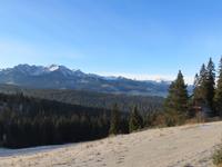 polnische Tatra