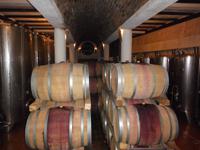 Bei der Weinverkostung in Pag, Weinkeller